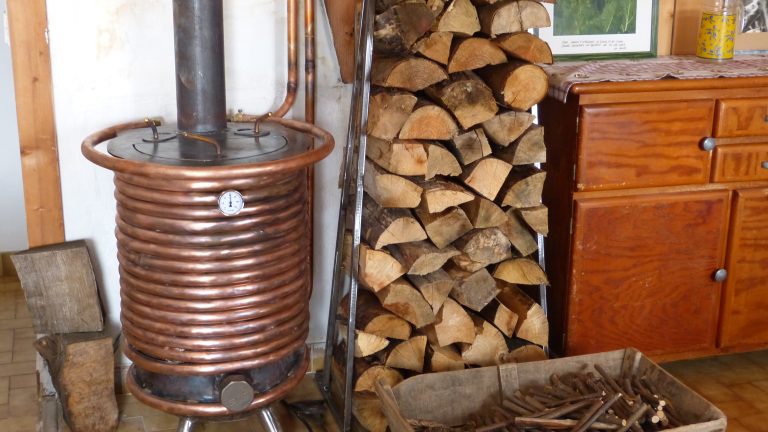 Lire la suite à propos de l’article Votre nouvel ami