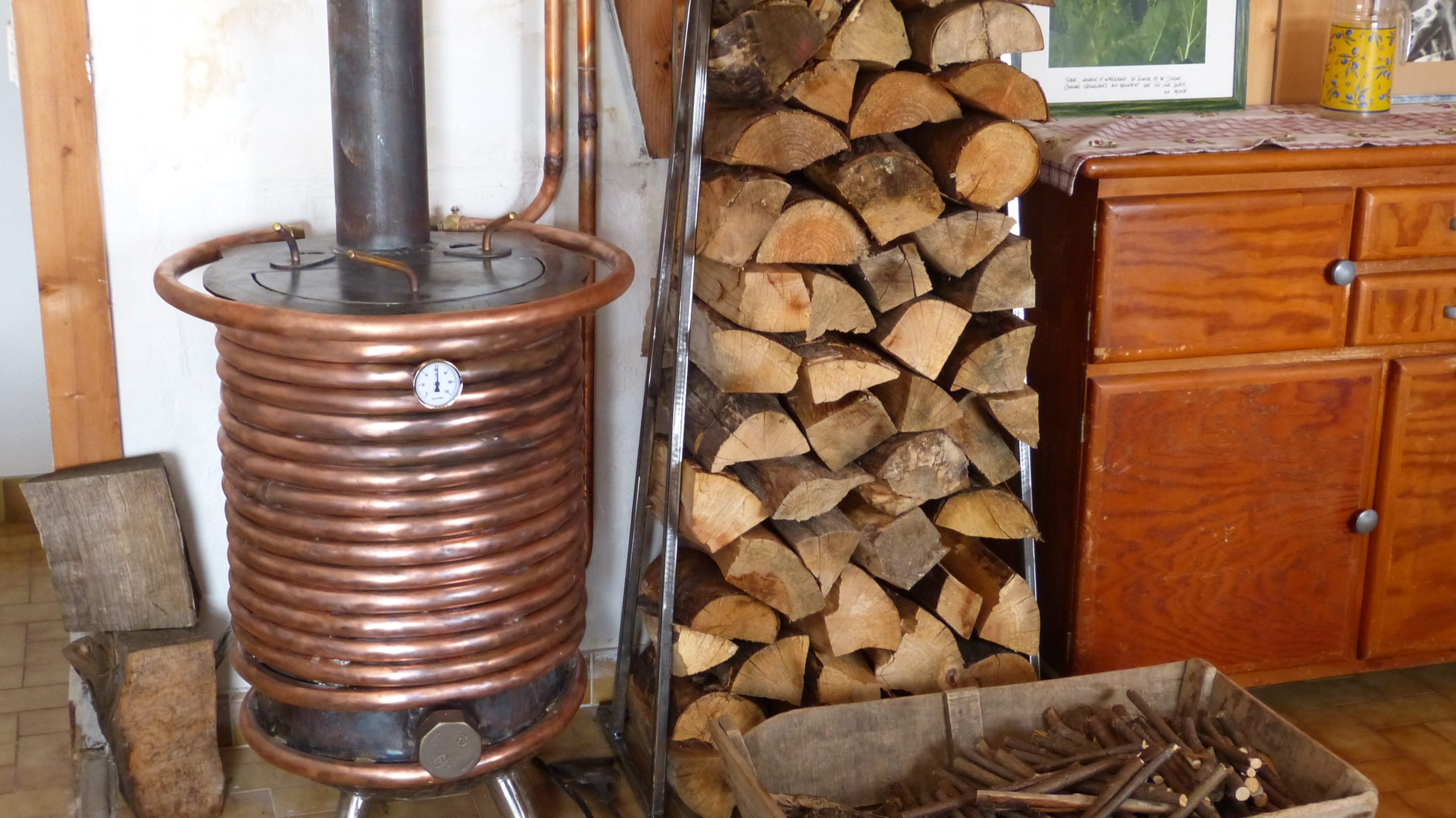 You are currently viewing Votre nouvel ami